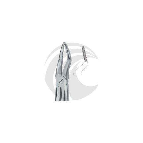 Roots , With Fine Beak 51A 