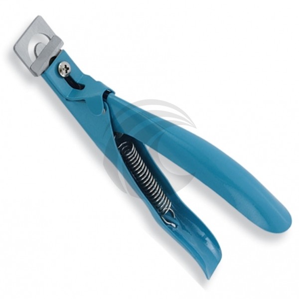 Pedicure & Nail Care