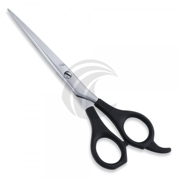 Economy Scissor
