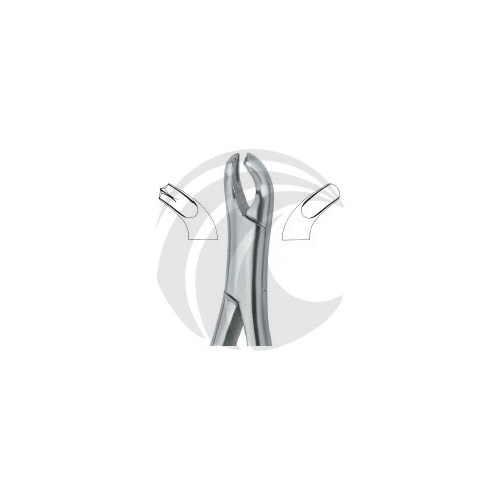 Harris Molars , Right 18R