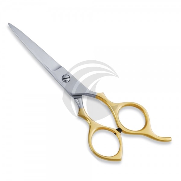 Economy Scissor