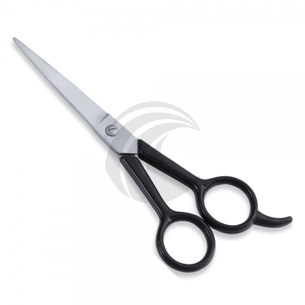 Economy Scissor