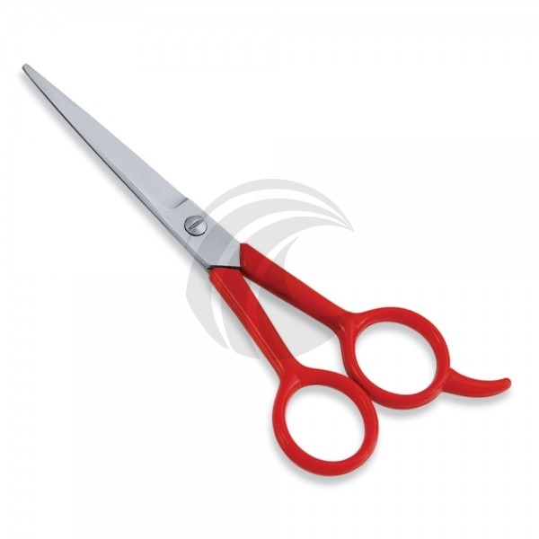Economy Scissor