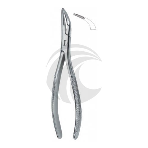 Root Fragments and Universal 501 