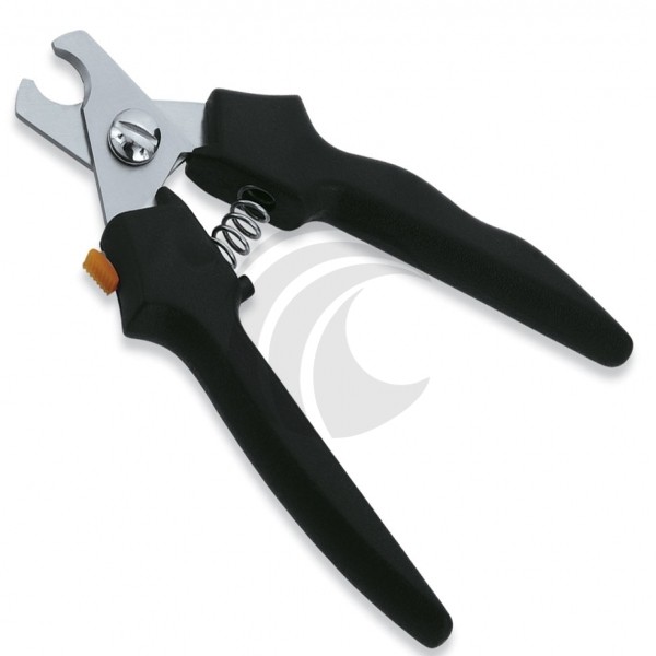 Pedicure & Nail Care