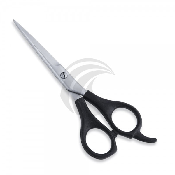 Economy Scissor