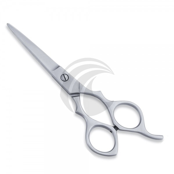 Economy Scissor