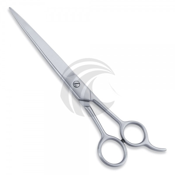 Economy Scissor